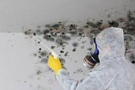 Best Airborne Mold Testing in USA